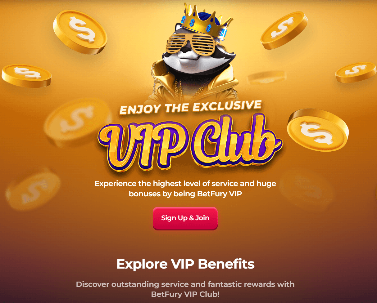VIP Club vs. Loyalty Program